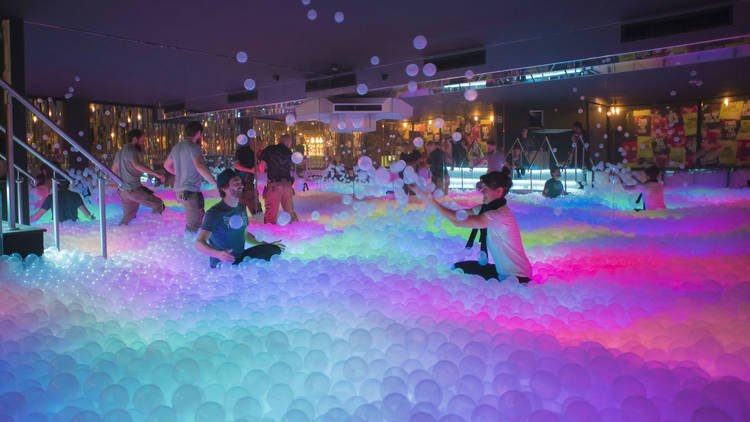 people playing in a ball pit